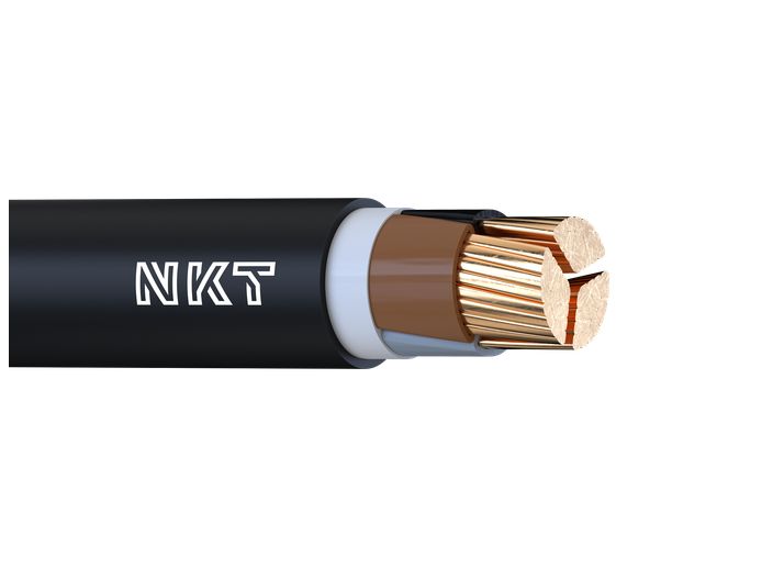 Image of NY2Y 0,6/1 kV cable