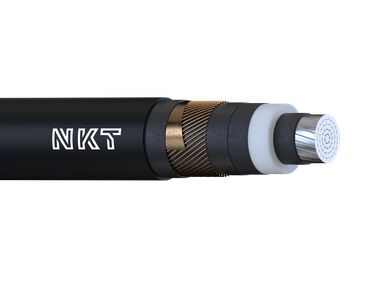 Product image of NA2XS2Y